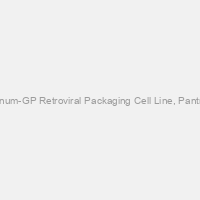 Platinum-GP Retroviral Packaging Cell Line, Pantropic